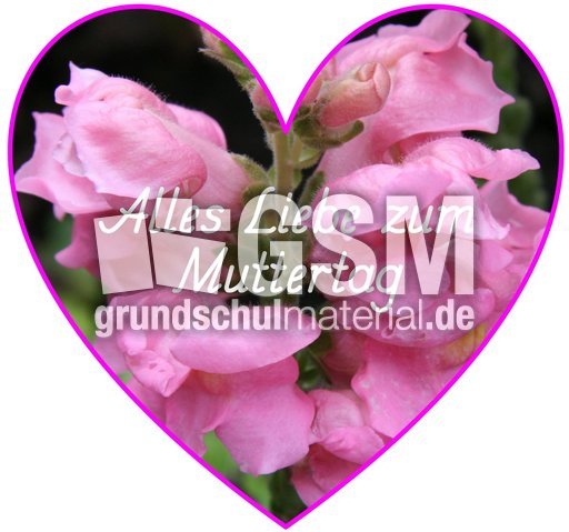 Herz-Foto-Muttertag_26.jpg